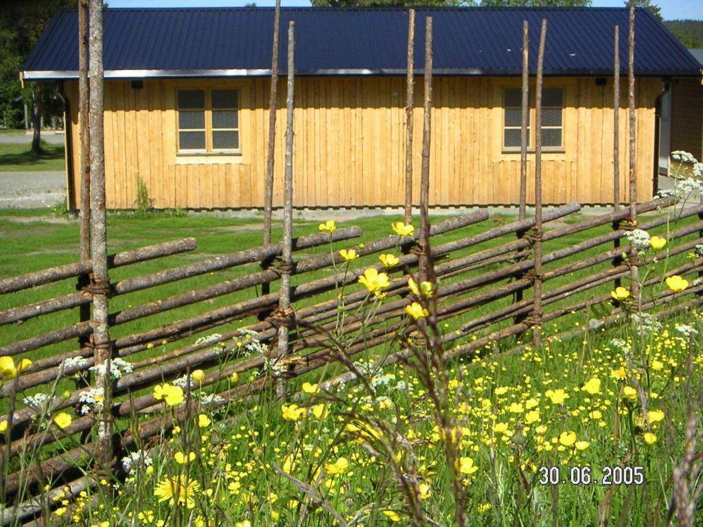 Saiva Camping & Stugby Vilhelmina Exterior foto